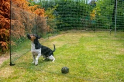 Dog, Poultry and Small Pet Boundary Netting Fence - not electric - 20 metres